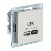 Розетка USB+USB type C SYSTEME ELECTRIC ATLASDESIGN, скрытый монтаж, бежевый, ATN000229