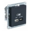 Розетка USB+USB type C SYSTEME ELECTRIC ATLASDESIGN, скрытый монтаж, карбон, ATN001029