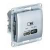 Розетка USB+USB type C SYSTEME ELECTRIC GLOSSA, скрытый монтаж, алюминий, GSL000329