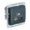 Розетка USB+USB type C SYSTEME ELECTRIC GLOSSA, скрытый монтаж, антрацит, GSL000729