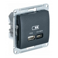Розетка USB+USB type C SYSTEME ELECTRIC GLOSSA, скрытый монтаж, антрацит, GSL000729