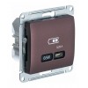 Розетка USB type C SYSTEME ELECTRIC GLOSSA, скрытый монтаж, баклажановый, GSL001127