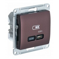 Розетка USB type C SYSTEME ELECTRIC GLOSSA, скрытый монтаж, баклажановый, GSL001127