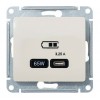 Розетка USB type C SYSTEME ELECTRIC GLOSSA, скрытый монтаж, бежевый, GSL000227