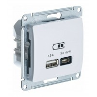 Розетка USB+USB type C SYSTEME ELECTRIC GLOSSA, скрытый монтаж, белый, GSL000129