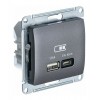 Розетка USB+USB type C SYSTEME ELECTRIC GLOSSA, скрытый монтаж, графит, GSL001329