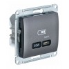 Розетка USB type C SYSTEME ELECTRIC GLOSSA, скрытый монтаж, графит, GSL001327