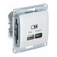 Розетка USB+USB type C SYSTEME ELECTRIC GLOSSA, скрытый монтаж, перламутр, GSL000629