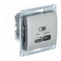 Розетка USB+USB type C SYSTEME ELECTRIC GLOSSA, скрытый монтаж, платина, GSL001229