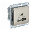 Розетка USB+USB type C SYSTEME ELECTRIC GLOSSA, скрытый монтаж, титан, GSL000429