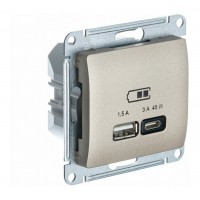 Розетка USB+USB type C SYSTEME ELECTRIC GLOSSA, скрытый монтаж, титан, GSL000429