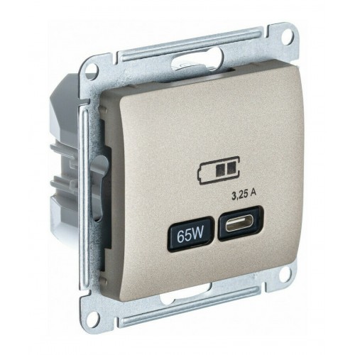 Розетка USB type C SYSTEME ELECTRIC GLOSSA, скрытый монтаж, титан, GSL000427