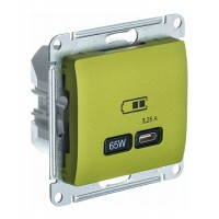 Розетка USB type C SYSTEME ELECTRIC GLOSSA, скрытый монтаж, фисташковый, GSL001027