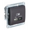 Розетка USB+USB type C SYSTEME ELECTRIC GLOSSA, скрытый монтаж, шоколад, GSL000829