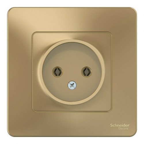 Розетка SYSTEME ELECTRIC BLANCA, скрытый монтаж, без заземления, титан