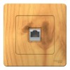 Розетка компьютерная RJ45 SYSTEME ELECTRIC BLANCA, скрытый монтаж, ясень, BLNIS045005