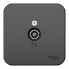 Розетка TV SYSTEME ELECTRIC BLANCA, оконечная, открытый монтаж, антрацит, BLNTA000016