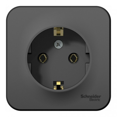 Розетка SYSTEME ELECTRIC BLANCA, открытый монтаж, с заземлением, антрацит, BLNRA010116