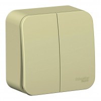 Выключатель 2-клавишный SYSTEME ELECTRIC BLANCA, открытый монтаж, бежевый, BLNVA105017