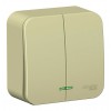 Выключатель 2-клавишный SYSTEME ELECTRIC BLANCA, открытый монтаж, бежевый, BLNVA105117
