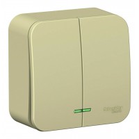 Выключатель 2-клавишный SYSTEME ELECTRIC BLANCA, открытый монтаж, бежевый, BLNVA105117