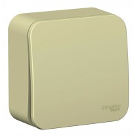 Переключатель 1-клавишный SYSTEME ELECTRIC BLANCA, открытый монтаж, бежевый, BLNVA106017