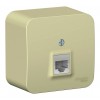 Розетка компьютерная RJ45 SYSTEME ELECTRIC BLANCA, открытый монтаж, бежевый, BLNIA045007