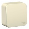 Выключатель 1-клавишный SYSTEME ELECTRIC BLANCA, открытый монтаж, молочный, BLNVA061012