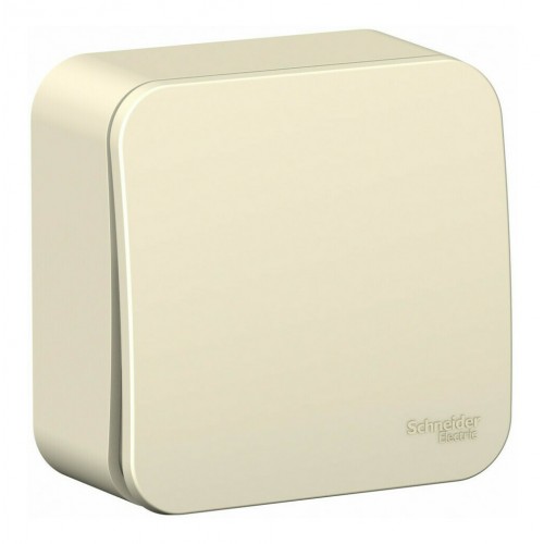 Выключатель 1-клавишный SYSTEME ELECTRIC BLANCA, открытый монтаж, молочный, BLNVA061012