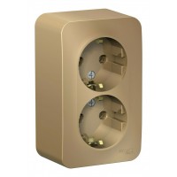 Розетка двухместная SYSTEME ELECTRIC BLANCA, открытый монтаж, с заземлением, титан, BLNRA010204
