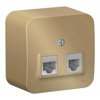 Розетка телефонная+компьютерная RJ11+RJ45 SYSTEME ELECTRIC BLANCA, скрытый монтаж, титан, BLNIA045114