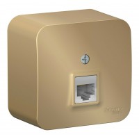 Розетка компьютерная RJ45 SYSTEME ELECTRIC BLANCA, открытый монтаж, титан, BLNIA045004