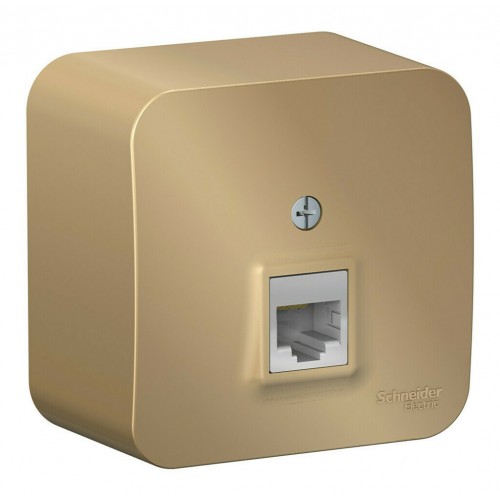 Розетка компьютерная RJ45 SYSTEME ELECTRIC BLANCA, открытый монтаж, титан, BLNIA045004