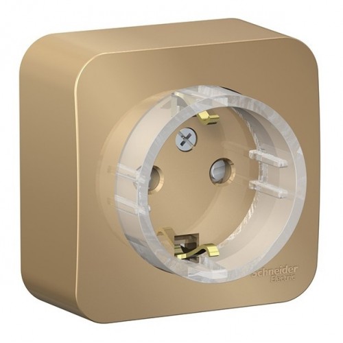 Розетка SYSTEME ELECTRIC BLANCA, открытый монтаж, с заземлением, со шторками, титан, BLNRA111114