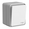 Выключатель 1-клавишный SYSTEME ELECTRIC ATLASDESIGN PROFI61, открытый монтаж, серый, ATN543015
