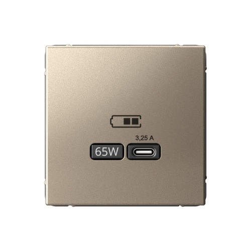 Розетка USB type C SYSTEME ELECTRIC ARTGALLERY, скрытый монтаж, шампань, GAL000527