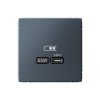 Розетка USB type C SYSTEME ELECTRIC ARTGALLERY, скрытый монтаж, грифель, GAL000727